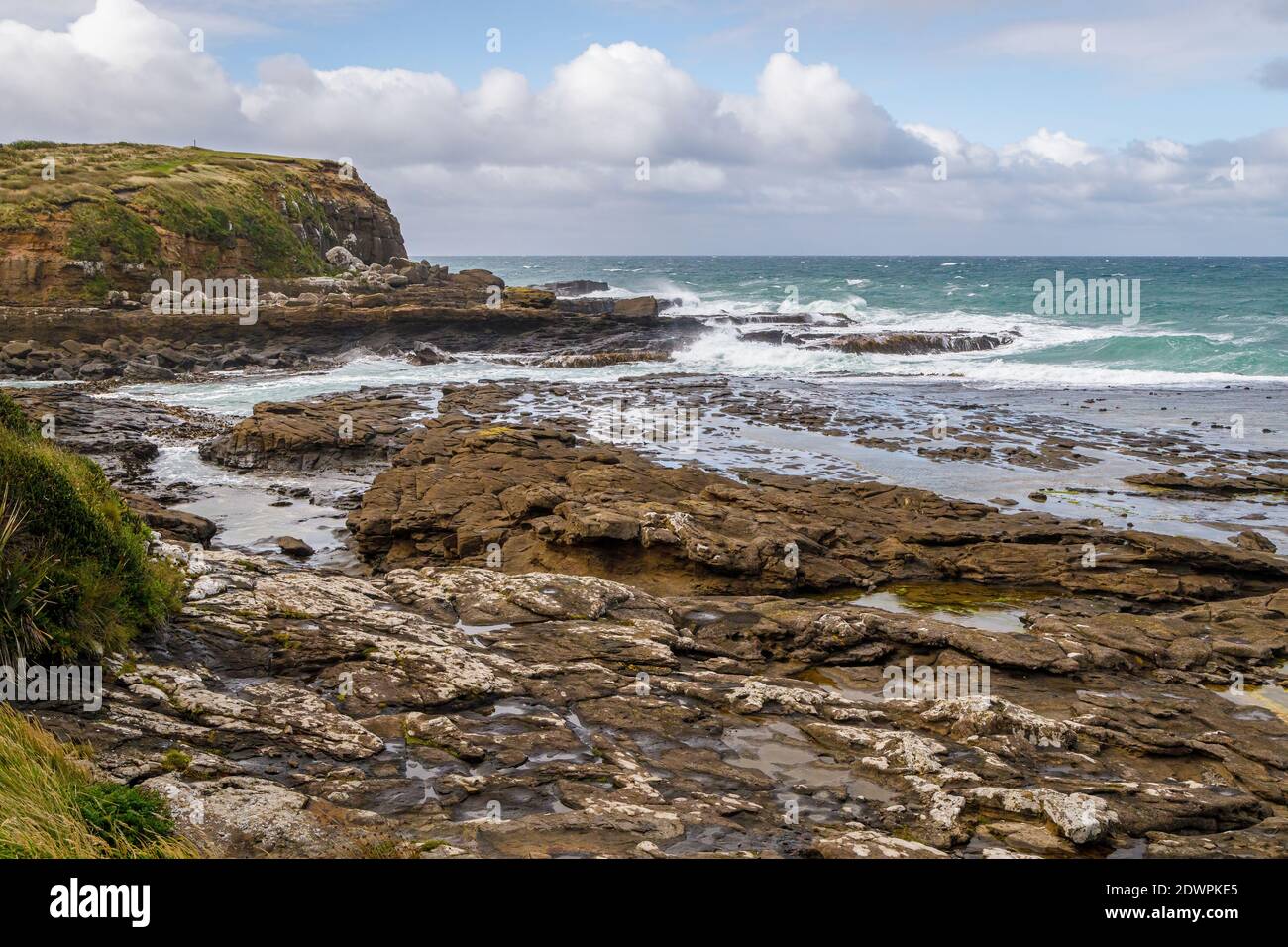 Curio Bay, dans les Catlins, sur l'île du Sud de la Nouvelle-Zélande. Banque D'Images