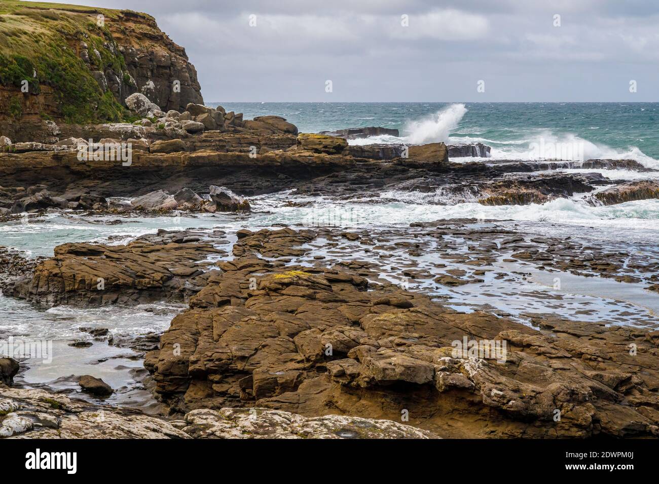 Curio Bay, dans les Catlins, sur l'île du Sud de la Nouvelle-Zélande. Banque D'Images