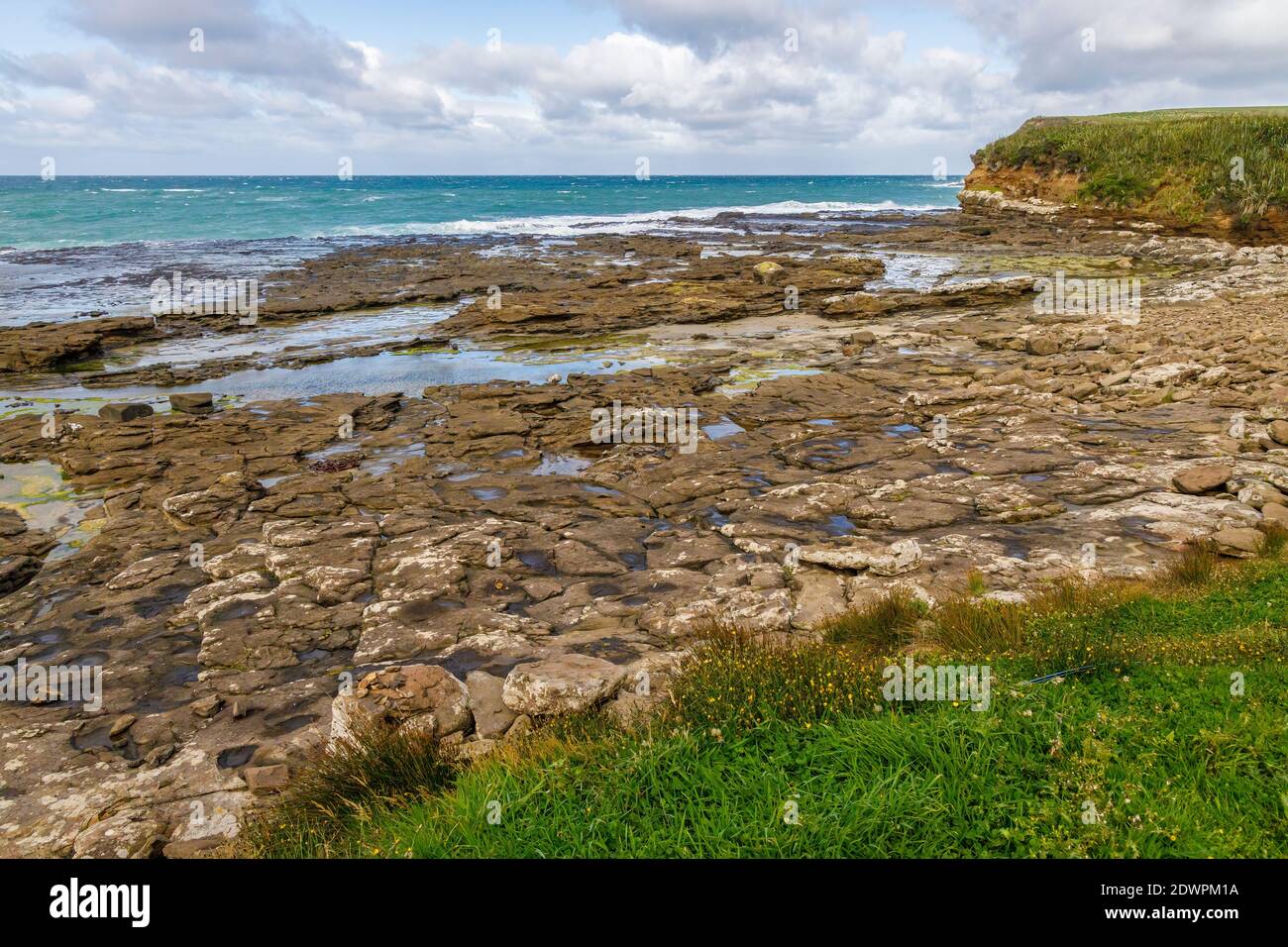 Curio Bay, dans les Catlins, sur l'île du Sud de la Nouvelle-Zélande. Banque D'Images