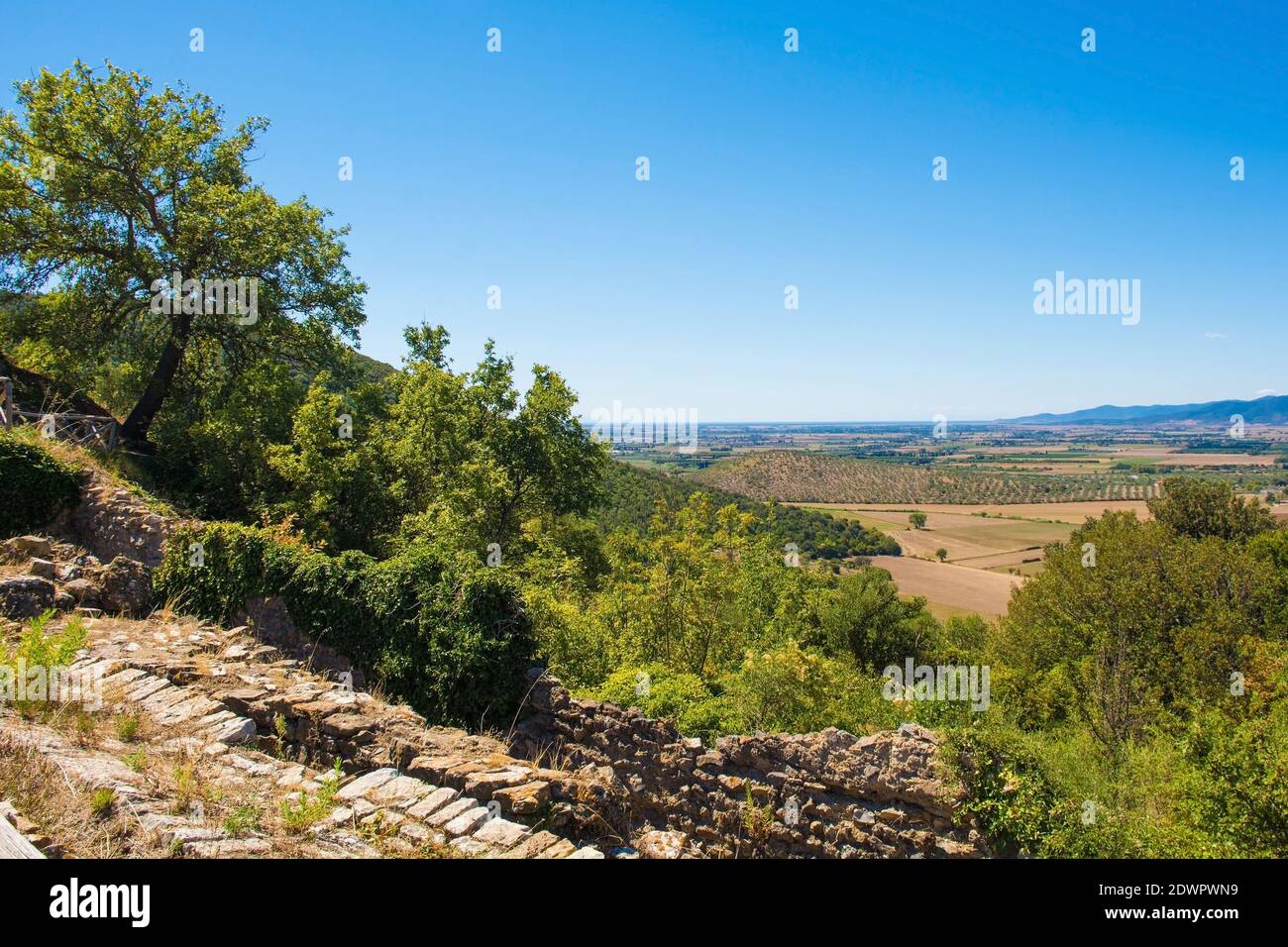 Le paysage près de la région archéologique de Roselle ou de Rusellae près de Grosseto en Toscane, Italie Banque D'Images