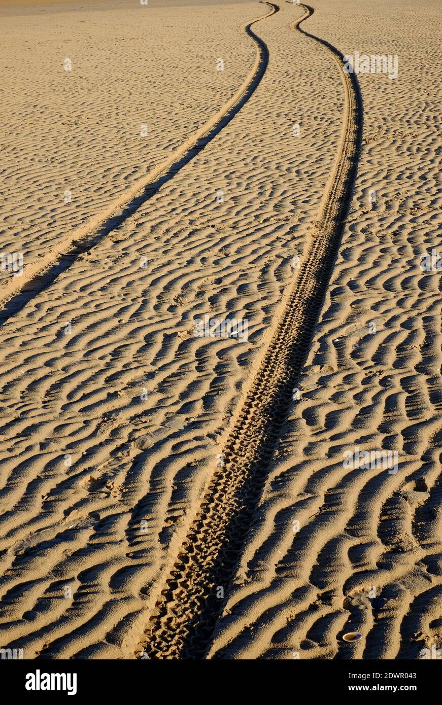 pistes de pneus dans le sable humide, plage de holkham, nord de norfolk, angleterre Banque D'Images