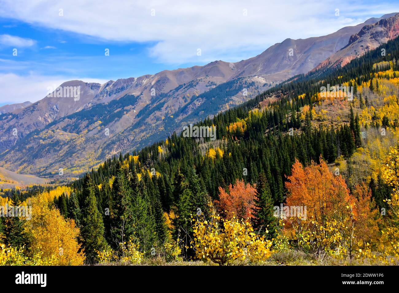 Magnifiques couleurs d'automne sur le Skyway de San Juan, Colorado. Banque D'Images