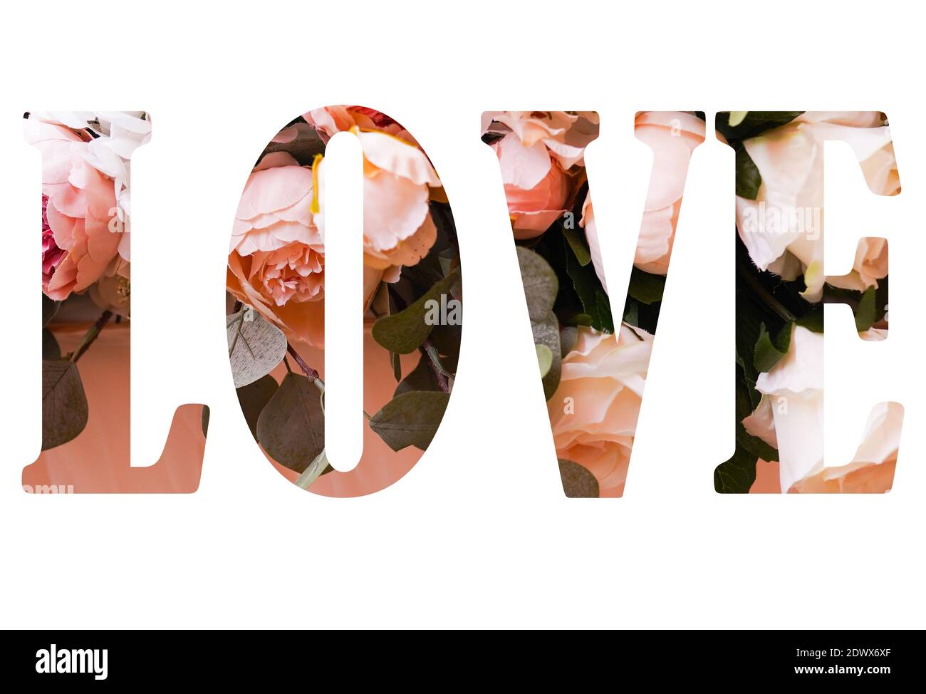 AMOUR, roses lettres de fleur sur fond blanc Banque D'Images