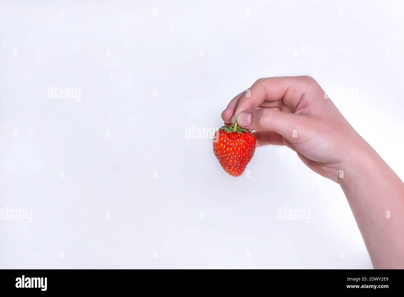 Gros plan sur les fraises. Une femme tient une fraise mûre fraîche dans sa main. Isoler sur un fond blanc. Banque D'Images