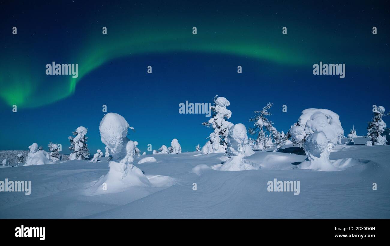 Lumières nordiques spectaculaires, aurore borealis exposé pendant une nuit d'hiver froide et glaciale sur la neige couverte de forêt taïga illuminée par pleine lune en R Banque D'Images