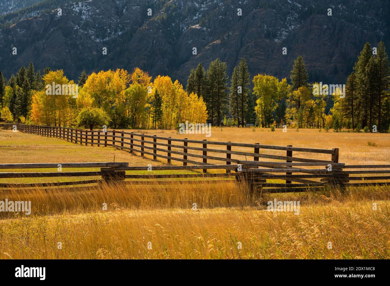 WA18785-00...WASHINGTON - couleur d'automne le long de l'autoroute 20 dans la vallée de Metow. Banque D'Images