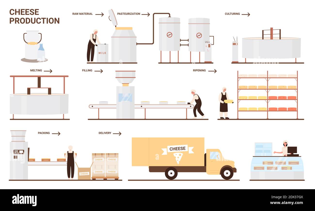 Illustration vectorielle de la production de fromage dans une usine de lait. Dessin animé industrie alimentaire ligne de processus automatisé de fabrication de produits de fromage à partir de lait cru biologique avec les travailleurs et les machines, technologie industrielle Illustration de Vecteur