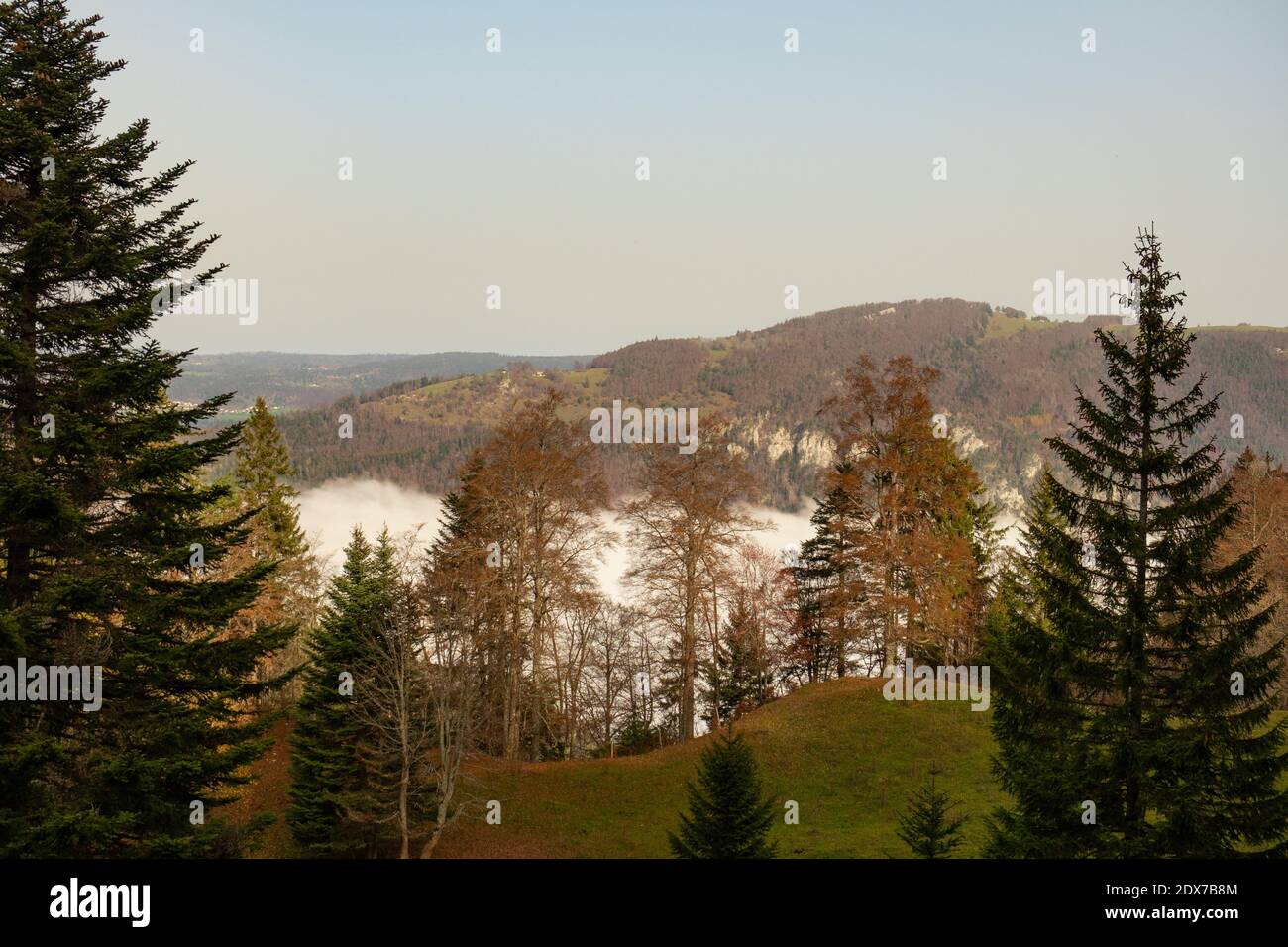 Vue depuis le sentier de randonnée jusqu'à Chasseral dans une vallée pleine avec brouillard Banque D'Images