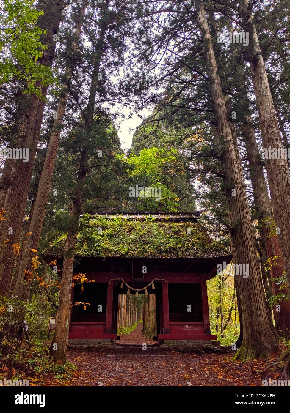 Shinto temple au Japon Banque D'Images