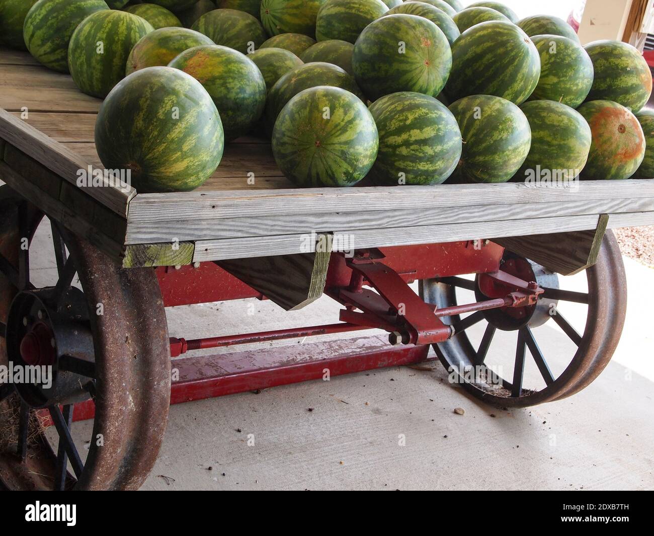 De magnifiques pastèques vertes et vibrantes sont empilées à l'arrière d'une charrette en bois d'époque et de vieilles roues en métal rouillées sur un marché de produits de la campagne. Banque D'Images