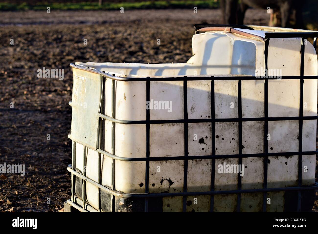 Grand réservoir à eau blanche pour animaux sur un enclos Banque D'Images