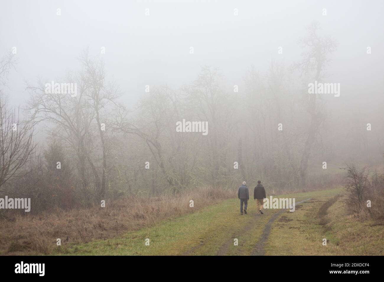 Deux hommes marchant sur le sentier Wild Iris Ridge lors d'une journée de brouillard à Eugene, Oregon, États-Unis. Banque D'Images
