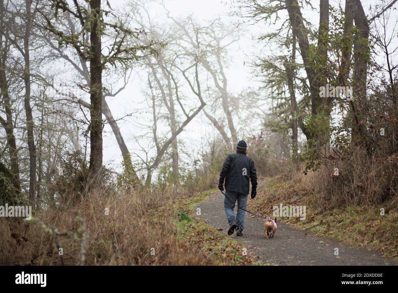 Un homme qui marche un petit chien lors d'une journée de brouillard sur le sentier de randonnée de Wild Iris Ridge à Eugene, Oregon, États-Unis. Banque D'Images