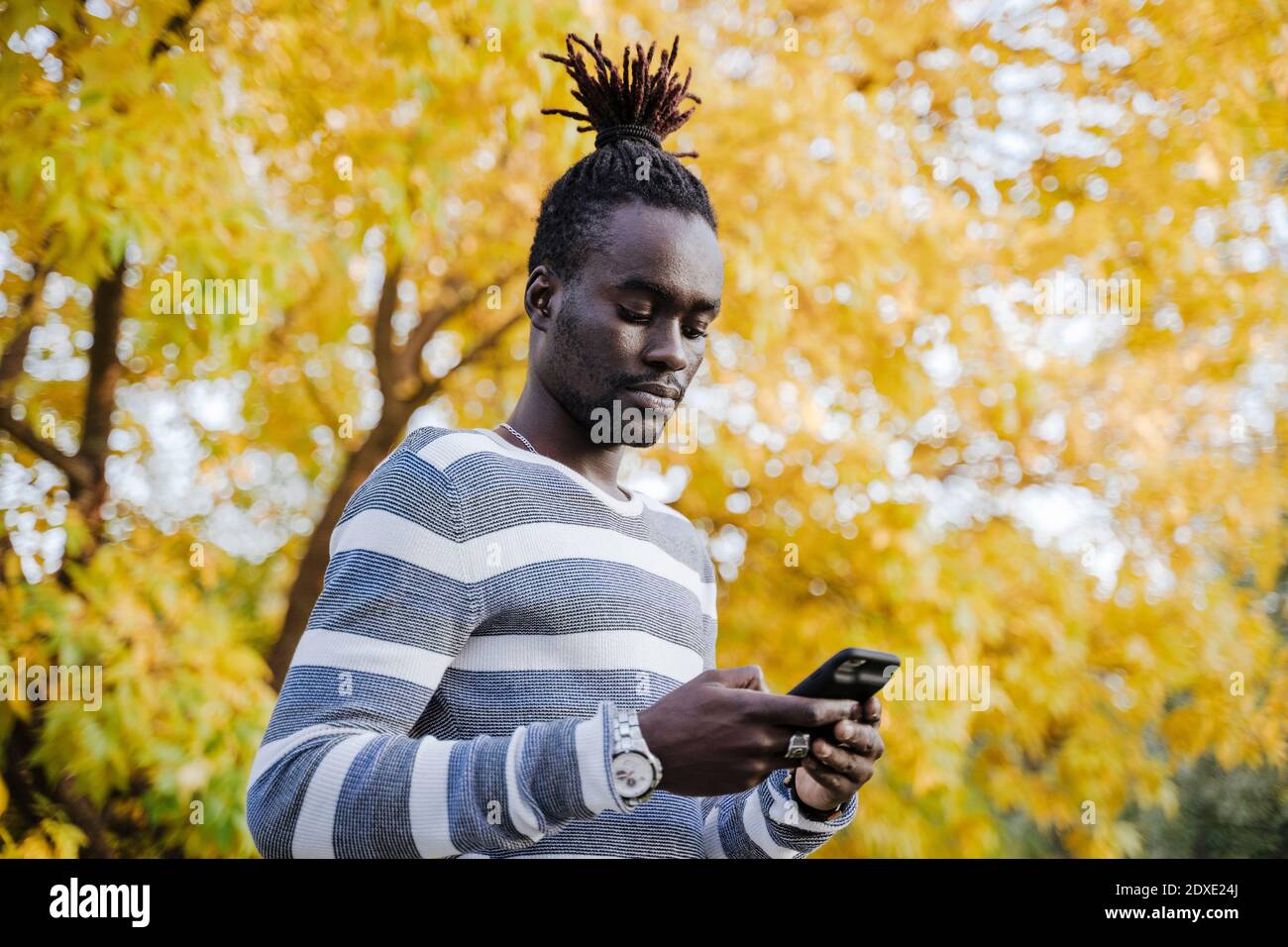 Jeune homme utilisant un smartphone tout en se tenant contre un arbre jaune dans le parc pendant l'automne Banque D'Images