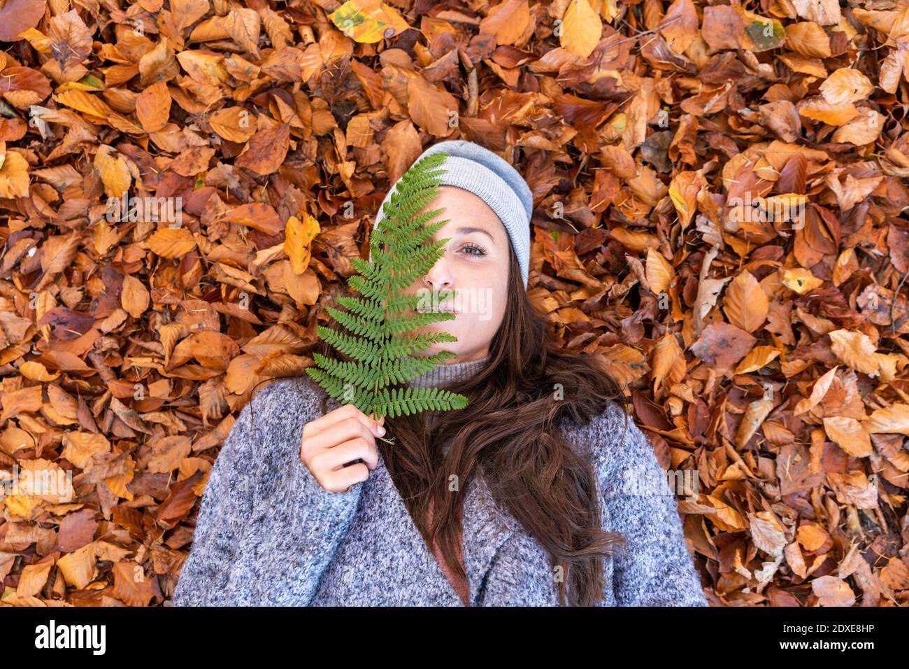 Belle femme couché sur les feuilles d'automne tout en couvrant le visage Avec fougères dans la forêt de Cannock Chase Banque D'Images