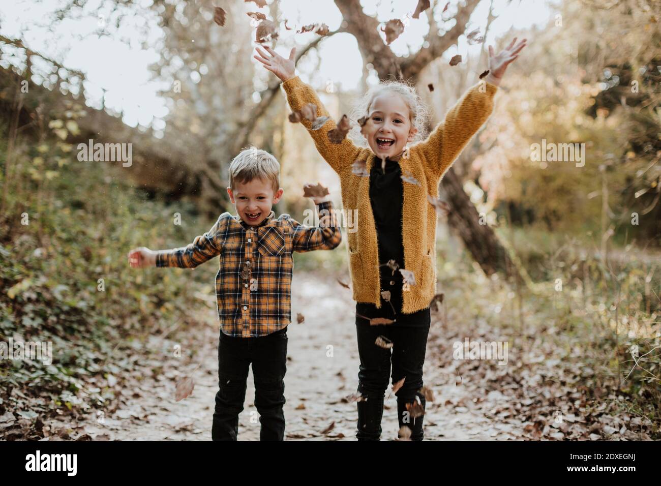 Joyeux frère et sœur jouant avec une feuille sèche tombée tout en restant debout forêt en automne Banque D'Images