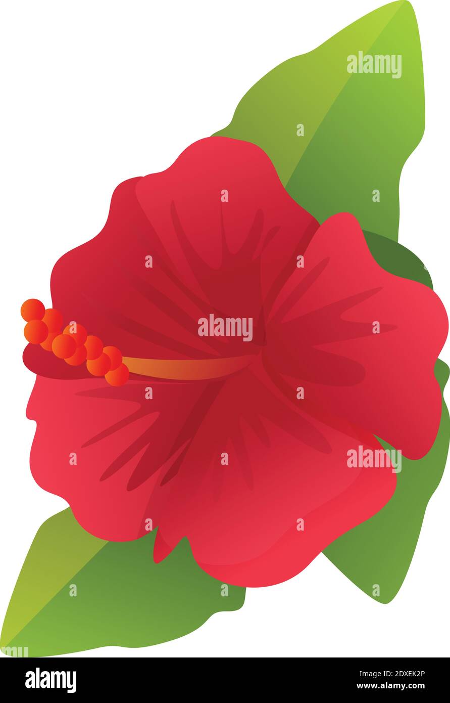 Plante hibiscus icône. Dessin animé de l'hibiscus de plante icône vecteur pour la conception de Web isolé sur fond blanc Illustration de Vecteur