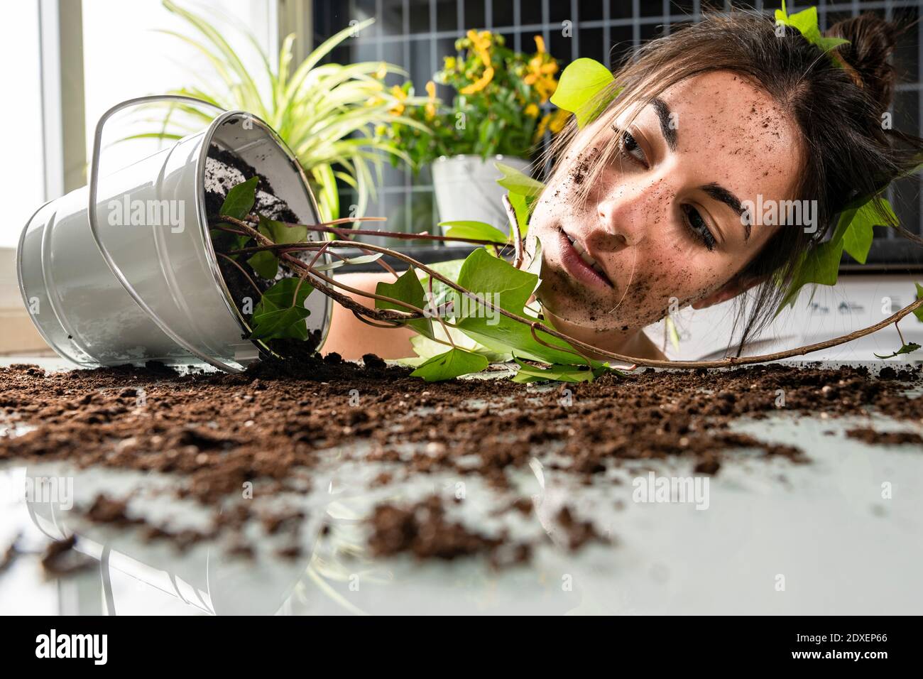 Jeune femme regardant la plante en pot sur la table à la maison Banque D'Images