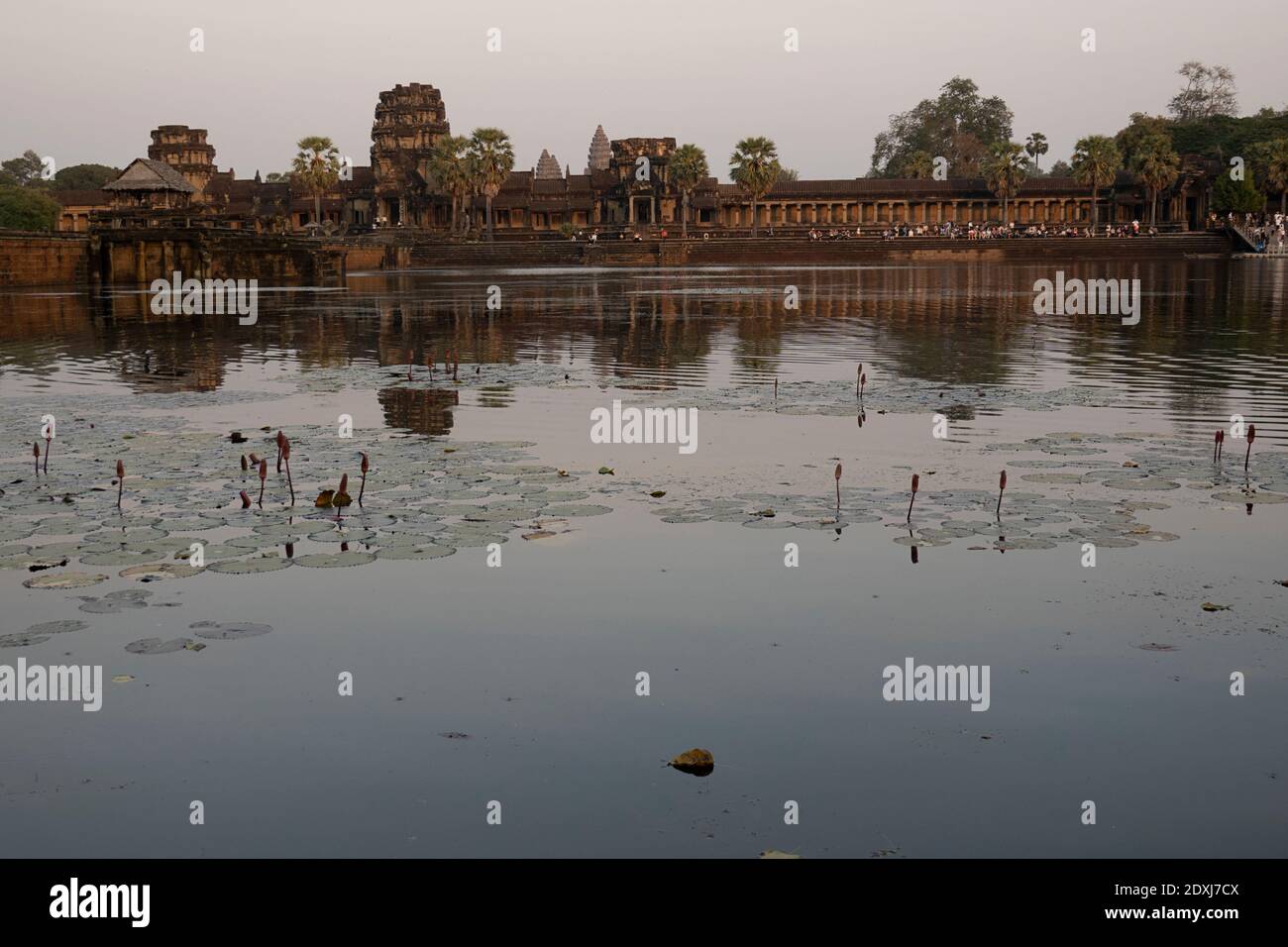 Lac bordant le temple d'Angkor Wat Banque D'Images