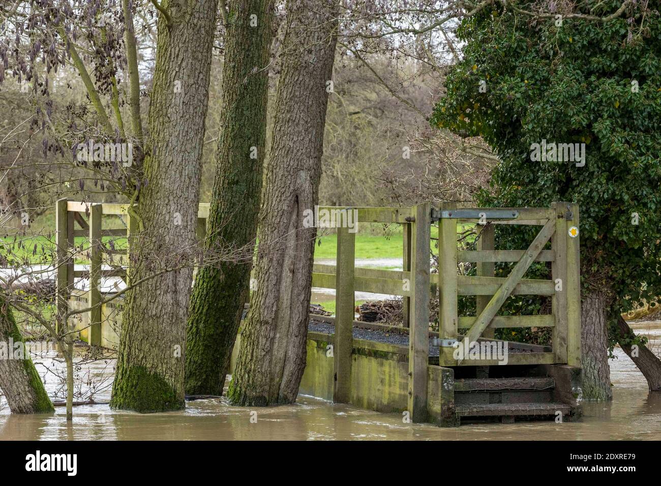 Ware, Angleterre. 24 décembre 2020 en photo : les champs du domaine de Youngsbury à Thundridge, près de Ware, sont inondés alors que la Rib brise ses berges après une forte pluie pendant la nuit. Crédit : Rich Dyson/Alay Live News Banque D'Images