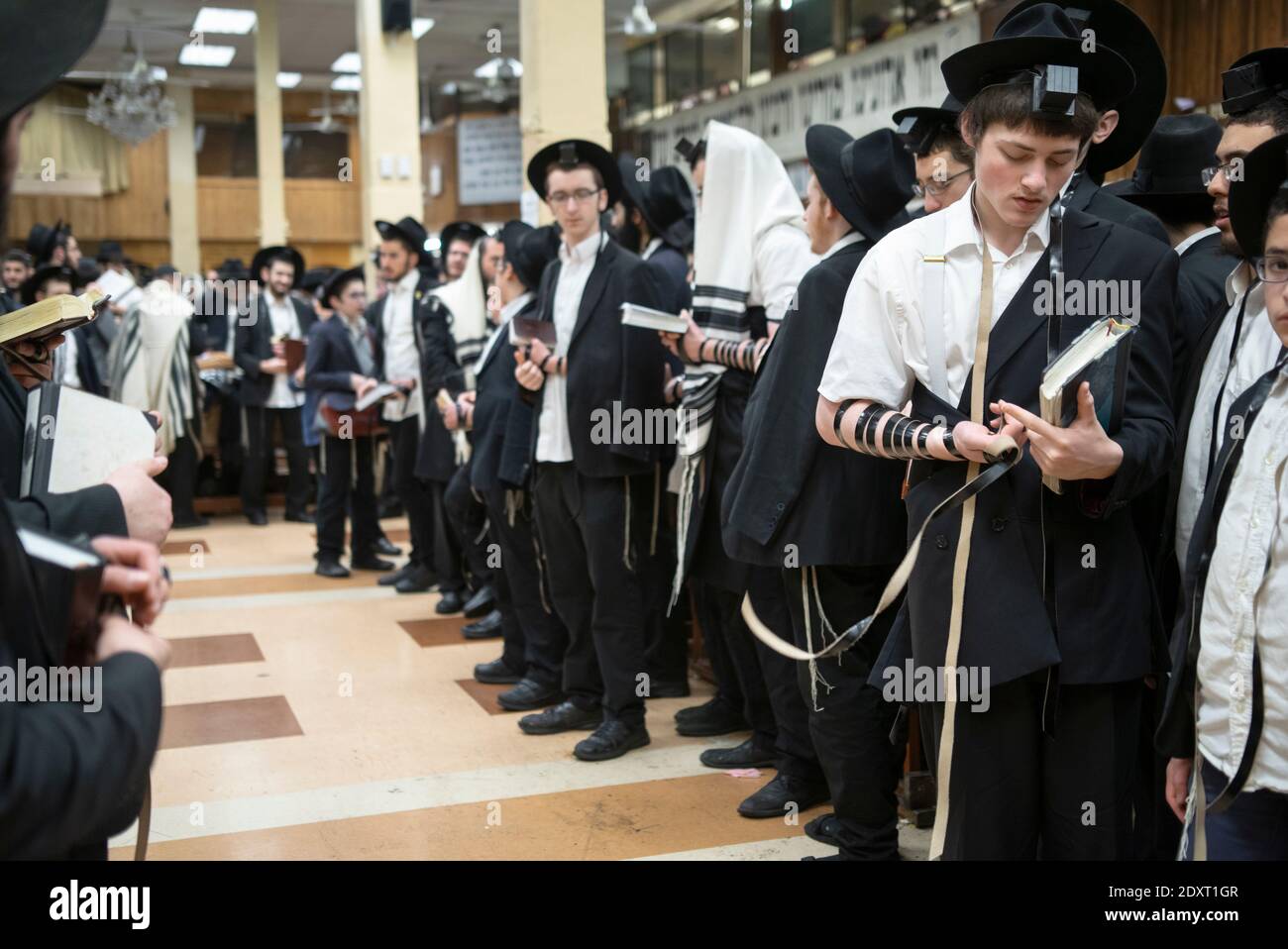 Un jeune juif orthodoxe à la prière du matin met sur ses phylactères. À Crown Heights, Brooklyn