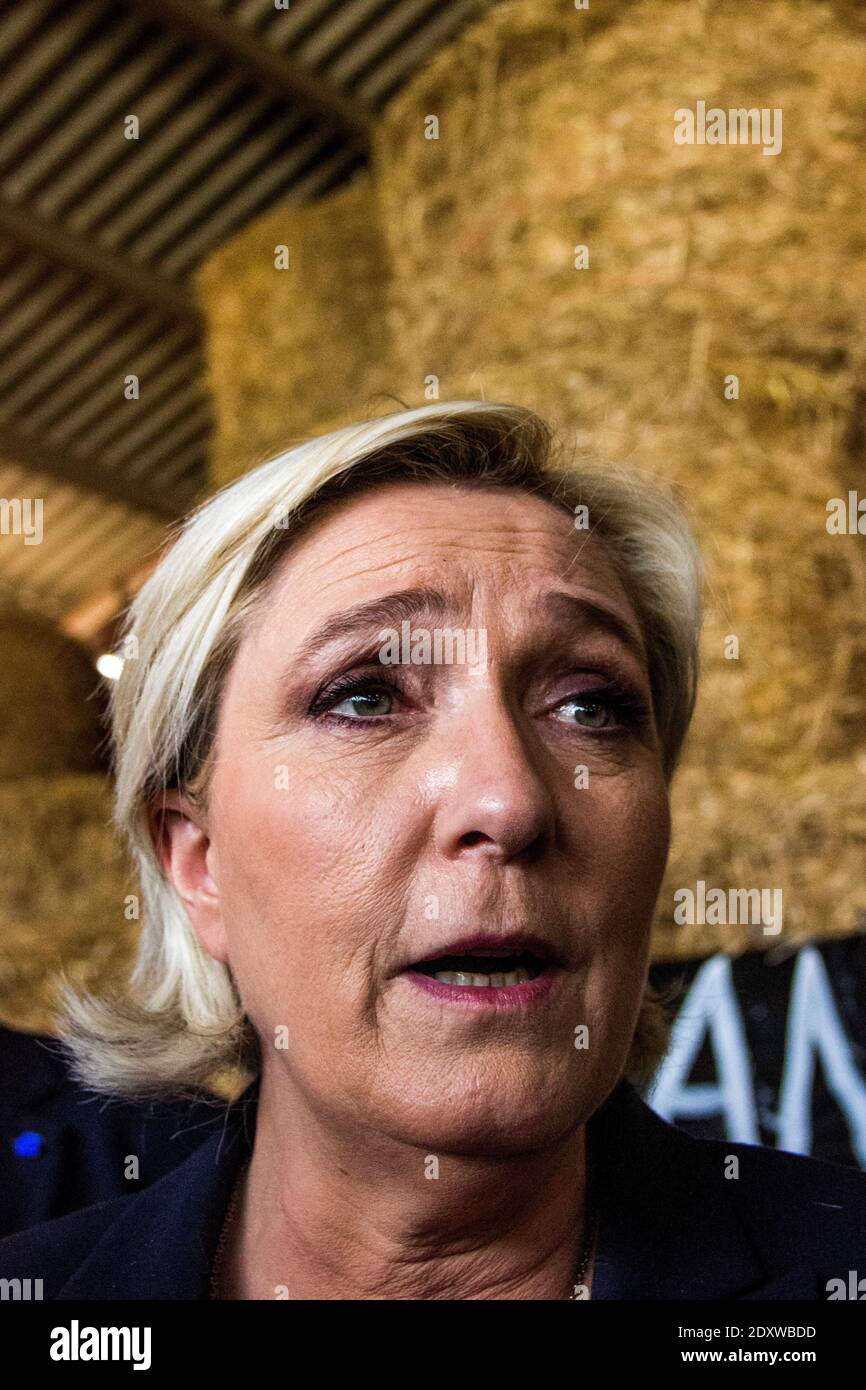 Marine le Pen visite une ferme porcine en Bretagne. Marine le Pen, candidate du parti national du Front extrême-droite (FN), a visité une ferme porcine à Pordic Banque D'Images