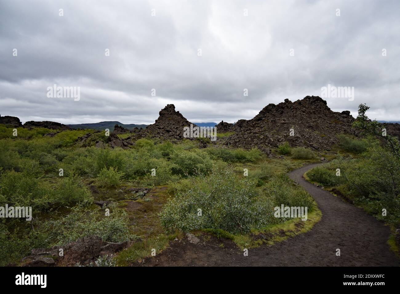 Un sentier traverse Dimmuborgir (Châteaux sombres), une vaste zone de champs de lave de forme inhabituelle à l'est du lac Mývatn, dans le nord de l'Islande. Banque D'Images