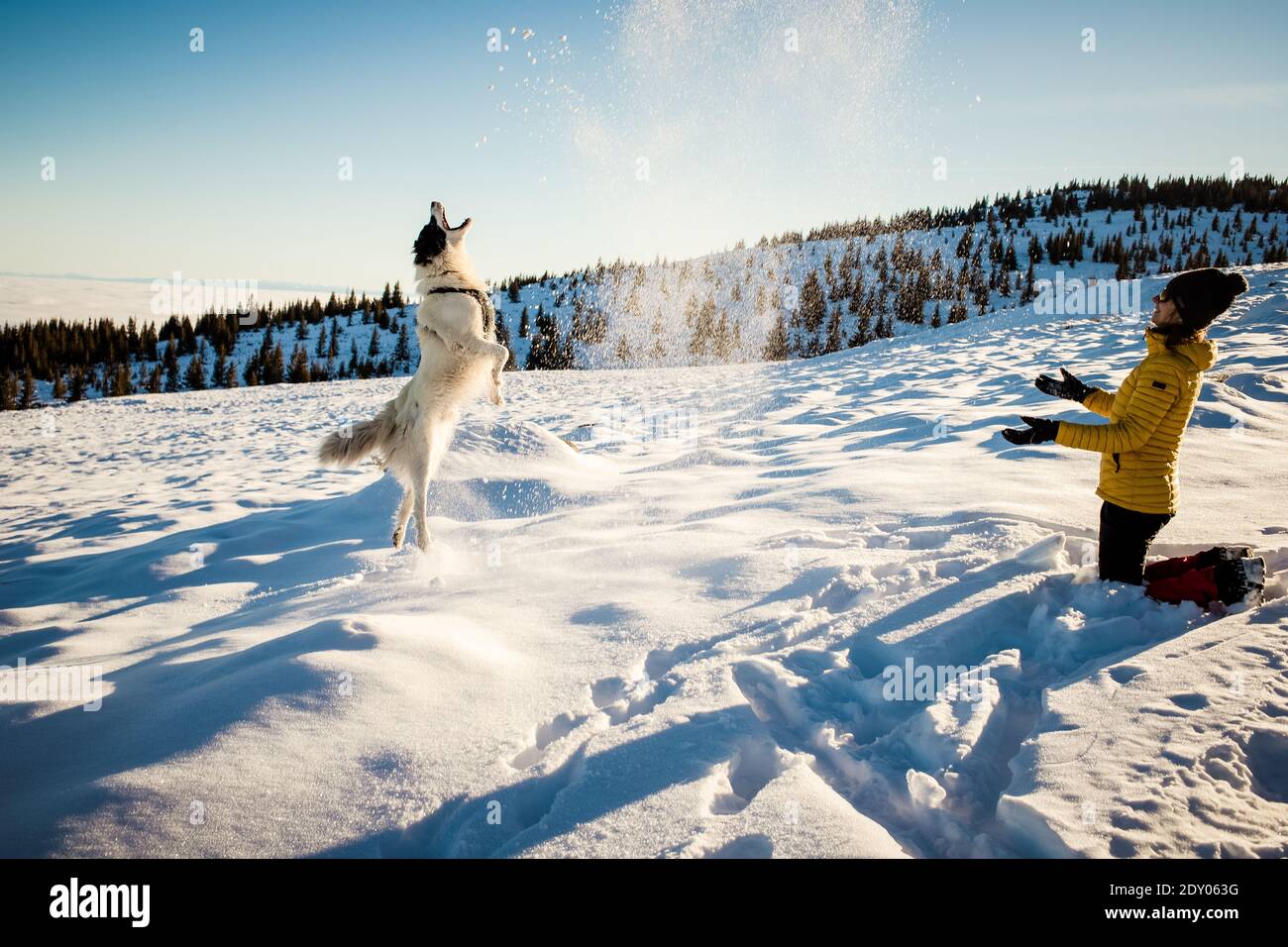femme et chien s'amusant dans la neige fraîche Banque D'Images