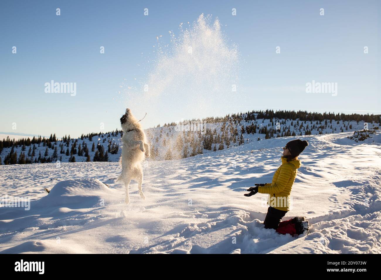 femme et chien s'amusant dans la neige fraîche Banque D'Images