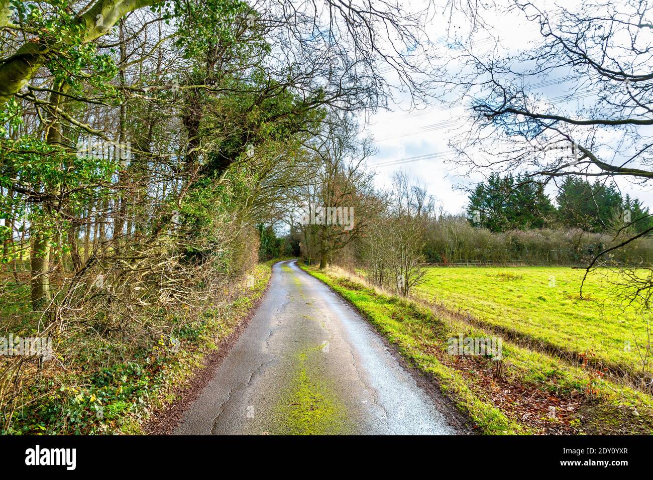 Chemin le long d'une randonnée à travers Little Offley, Hertfordshire, Royaume-Uni Banque D'Images