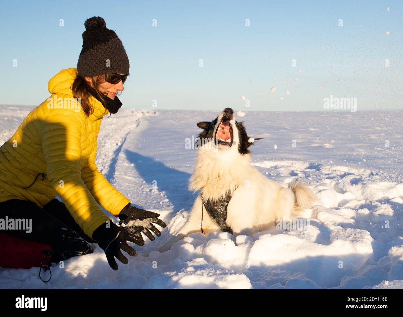 femme et chien s'amusant dans la neige fraîche Banque D'Images