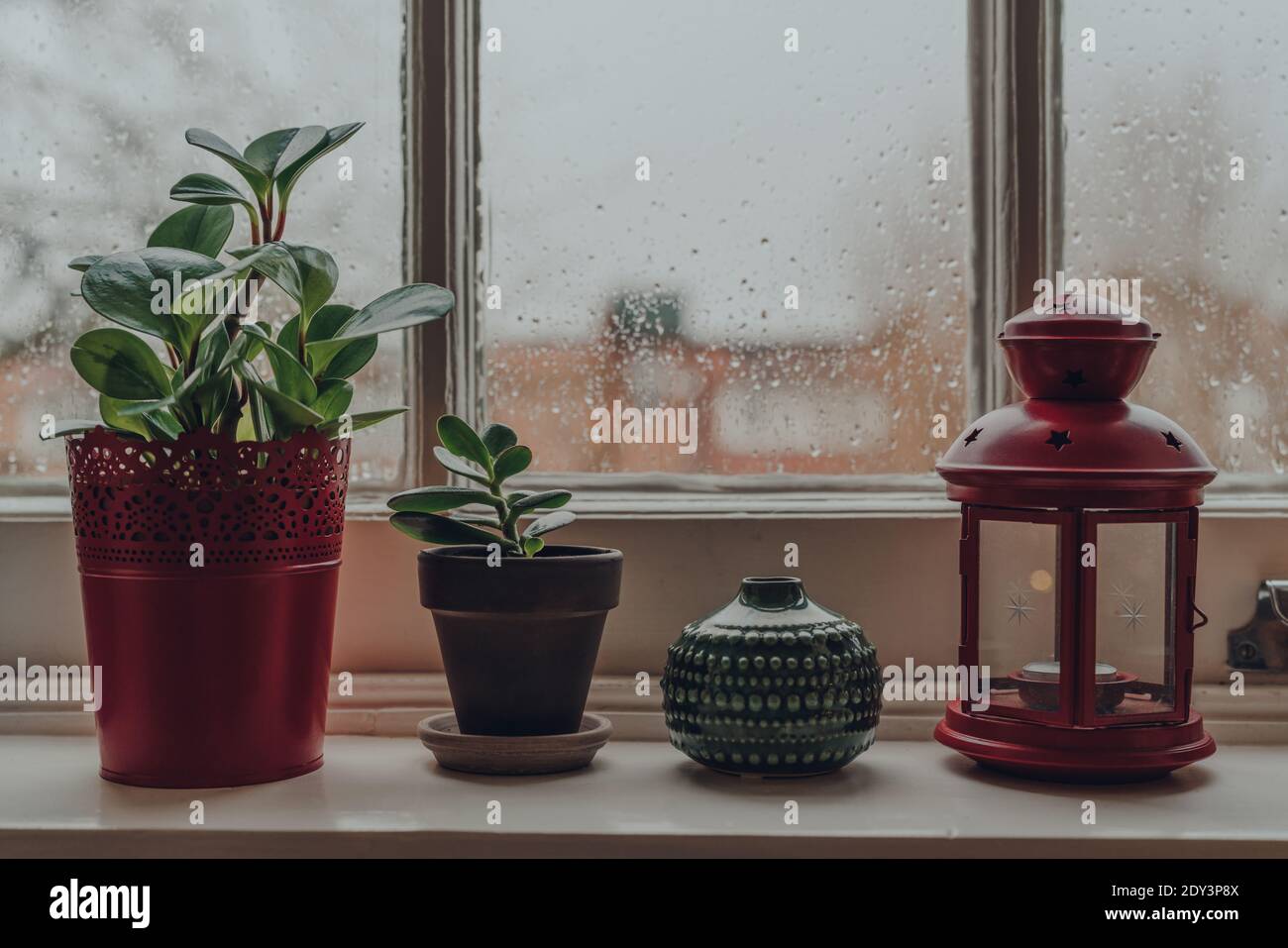 Rangée de plantes en pot et d'articles décoratifs sur un rebord de fenêtre à la maison, foyer peu profond. Banque D'Images