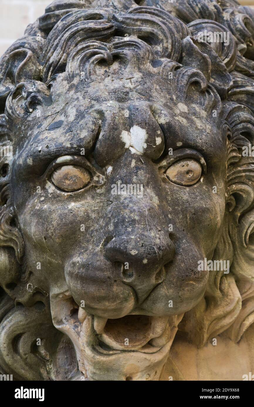 Gros plan d'un lion calcaire sculpté, jardin du Palais des Grands maîtres, Valette, Malte Banque D'Images