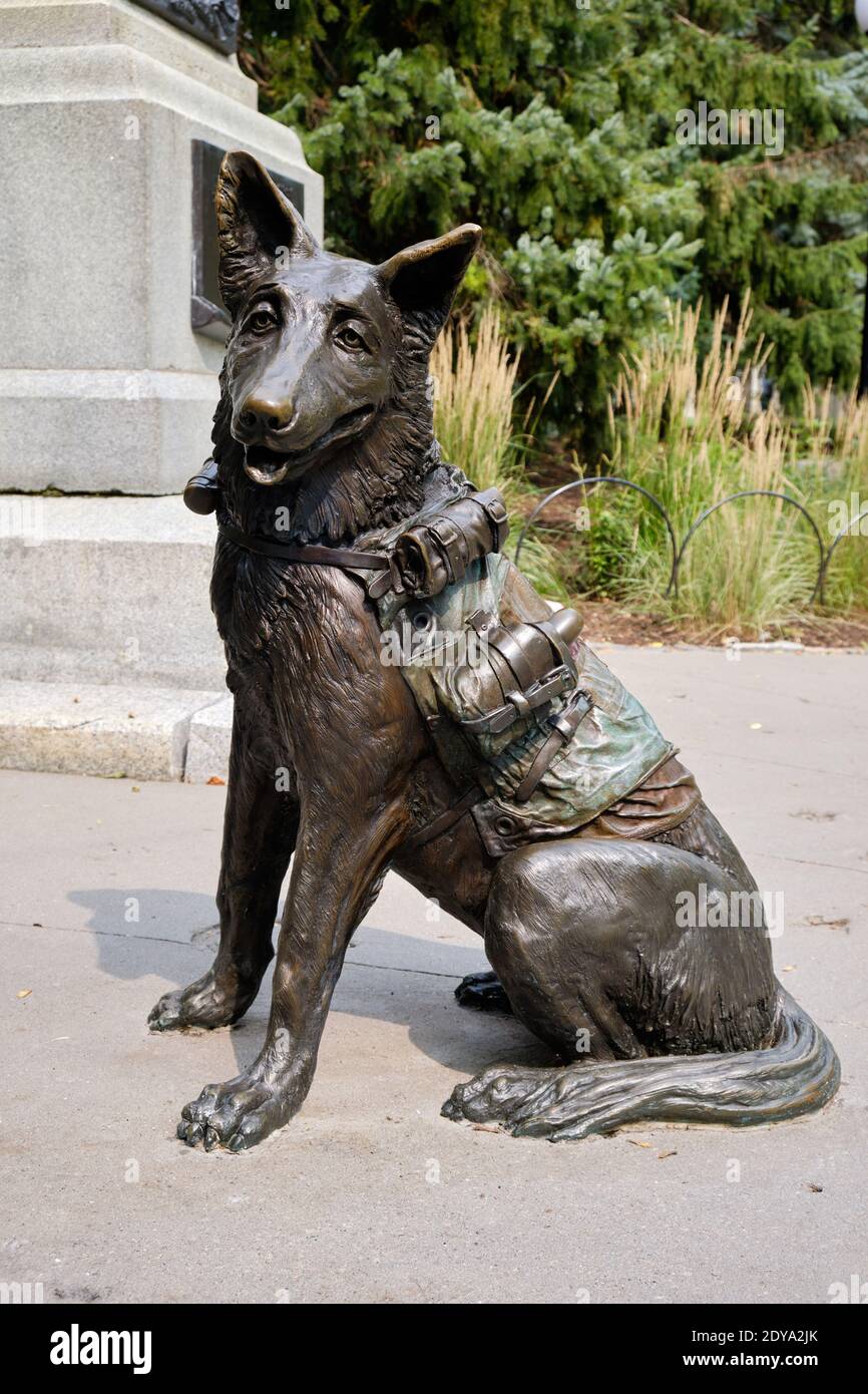 statue en l'honneur des animaux morts dans les guerres. Ottawa, Canada Banque D'Images