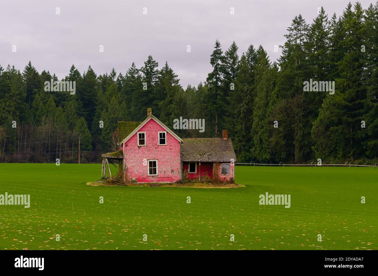 Une maison de couleur rose abandonnée dans un champ vert le jour nuageux d'automne. Mise au point sélective, photo de voyage, vue sur la rue, personne. Banque D'Images