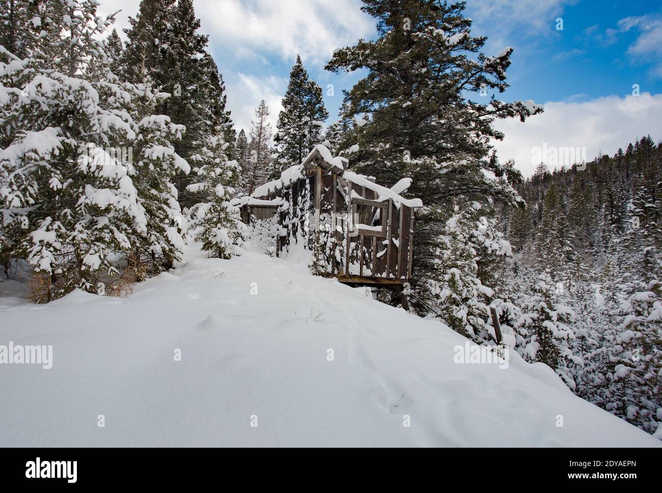 Une cabane en bois abandonnée près de la mine Horton, au-dessus de Camp Creek, à l'ouest de Tower, Montana. La mine Horton, nommée d'après le prospecteur du Montana, HEC Banque D'Images