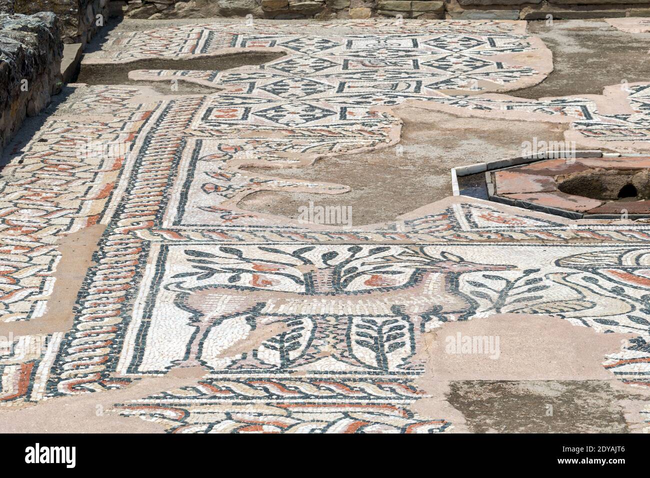 Eglise chrétienne du 4e au 6e siècle ce sur les vestiges d'une Synagogue juive du 2e au 3e siècle, Stobi, ruines archéologiques de la ville romaine, Macédoine, (FYROM Banque D'Images