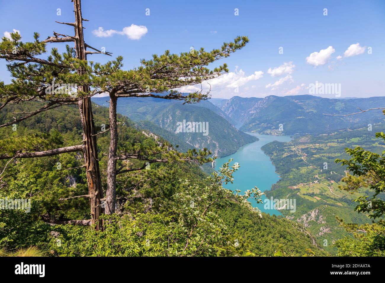 Parc national de Tara, Serbie. Magnifique paysage du canyon de la Drina. Banque D'Images