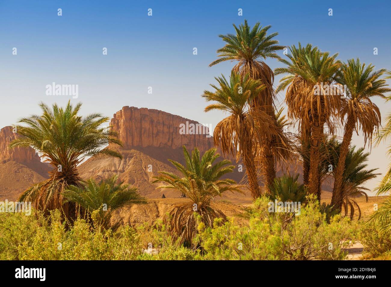 Montagnes dans le désert du Sahara vue d'une oasis avec palmiers. Maroc Afrique Banque D'Images
