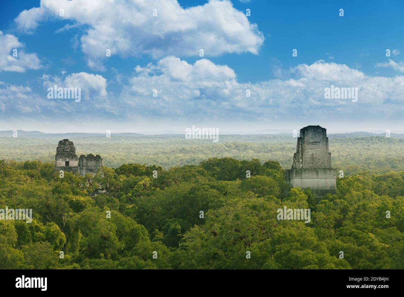 Tikal, Guatemala. Vue depuis le Temple IV sur les temples calcaires dans la jungle. Banque D'Images