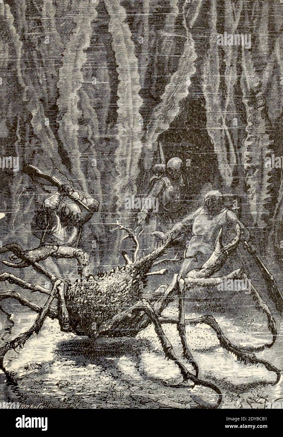 Une araignée de mer monstrueuse du livre vingt mille ligues sous les mers, ou, les aventures merveilleuses et passionnantes de Pierre Aronnax, Conseil son serviteur, et Ned Land, un harpooner canadien de Verne, Jules, 1828-1905 publié à Boston par J.R. Osgood en 1875 Banque D'Images