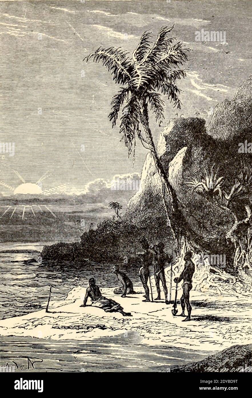 L'île de Vanikoro du livre vingt mille ligues sous les mers, ou, les aventures merveilleuses et passionnantes de Pierre Aronnax, le Conseil son serviteur, et Ned Land, un harpooner canadien de Verne, Jules, 1828-1905 publié à Boston par J.R. Osgood en 1875 Banque D'Images
