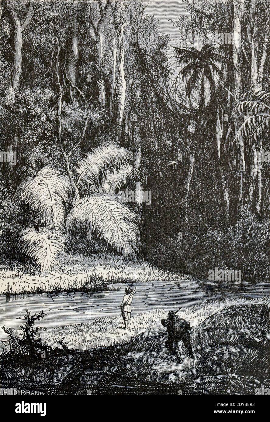 Tout l'horizon a été caché derrière un beau rideau de forêts du Livre vingt mille ligues sous les mers, ou, les aventures merveilleuses et passionnantes de Pierre Aronnax, Conseil son serviteur, et Ned Land, un harpooner canadien de Verne, Jules, 1828-1905 publié à Boston par J.R. Osgood en 1875 Banque D'Images