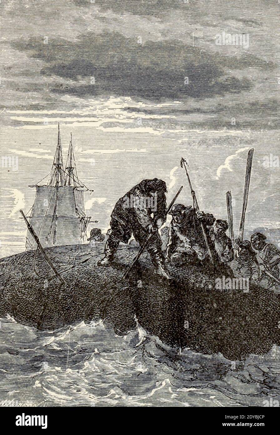 Ils ont déjà dépeuplé la baie de Baffin et annihilent une classe d'animaux utiles du livre vingt mille ligues sous les mers, ou les aventures merveilleuses et passionnantes de Pierre Aronnax, le Conseil son serviteur, et de Ned Land, un harpooner canadien de Verne, Jules, 1828-1905 publié à Boston par J.R. Osgood en 1875 Banque D'Images
