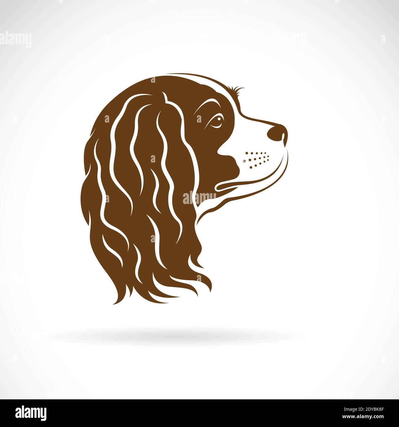 Vecteur de cavalier King Charles chien d'Espagne sur fond blanc. Animal de compagnie. Tête de chien. Illustration de Vecteur