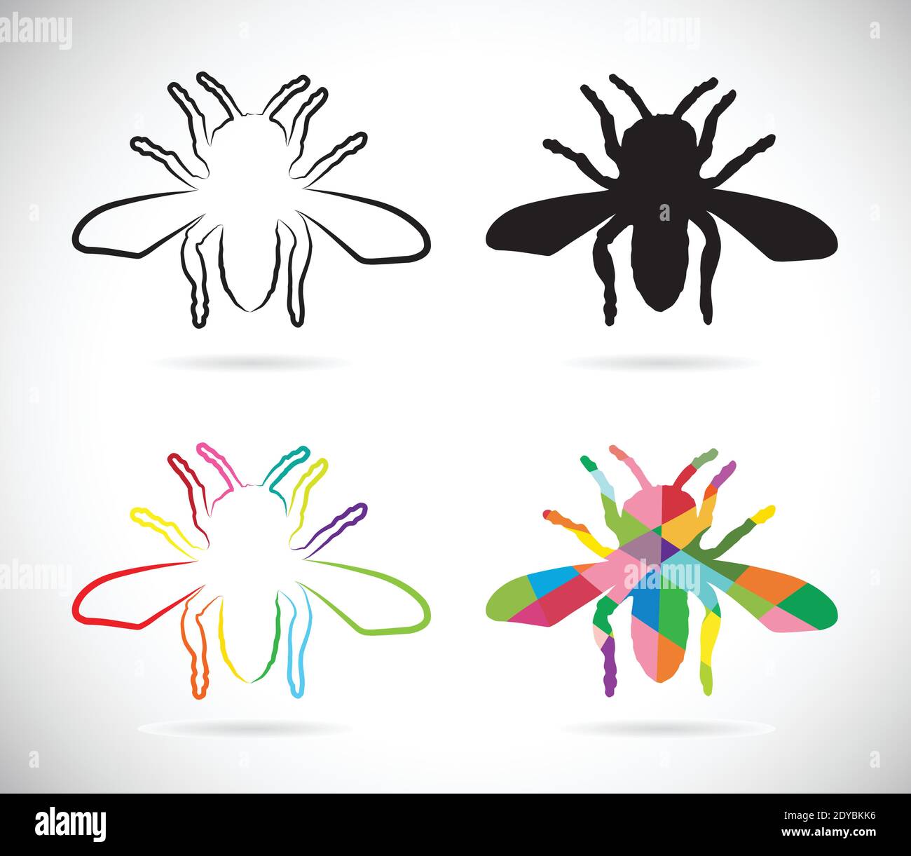 Vecteur d'insectes sur fond blanc. Illustration vectorielle superposée facile à modifier. Insecte. Illustration de Vecteur