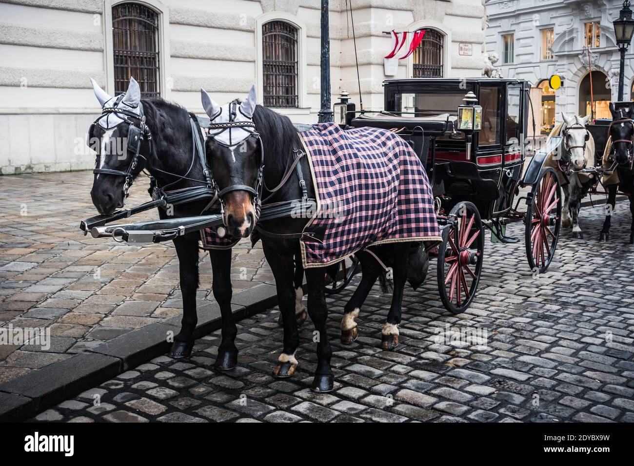 Fiaker Hackney Carriage sur la place Saint Michael à Vienne, Autriche, lors d'une froide journée d'hiver Banque D'Images