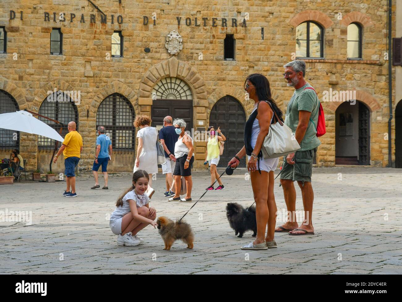 Une petite fille caresse un des chiens de Poméranie d'un couple de touristes sur la Piazza dei priori place principale de la vieille ville, Volterra, Toscane, Italie Banque D'Images