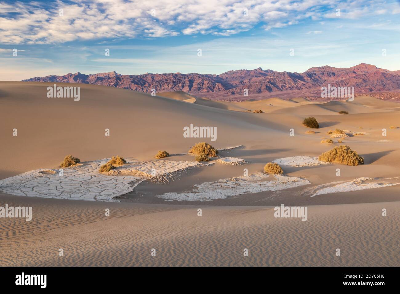 Dunes de sable, dans la vallée de la mort, Californie. Motifs ondulés sur le sable; plantes et dépôts minéraux entre les dunes. Banque D'Images