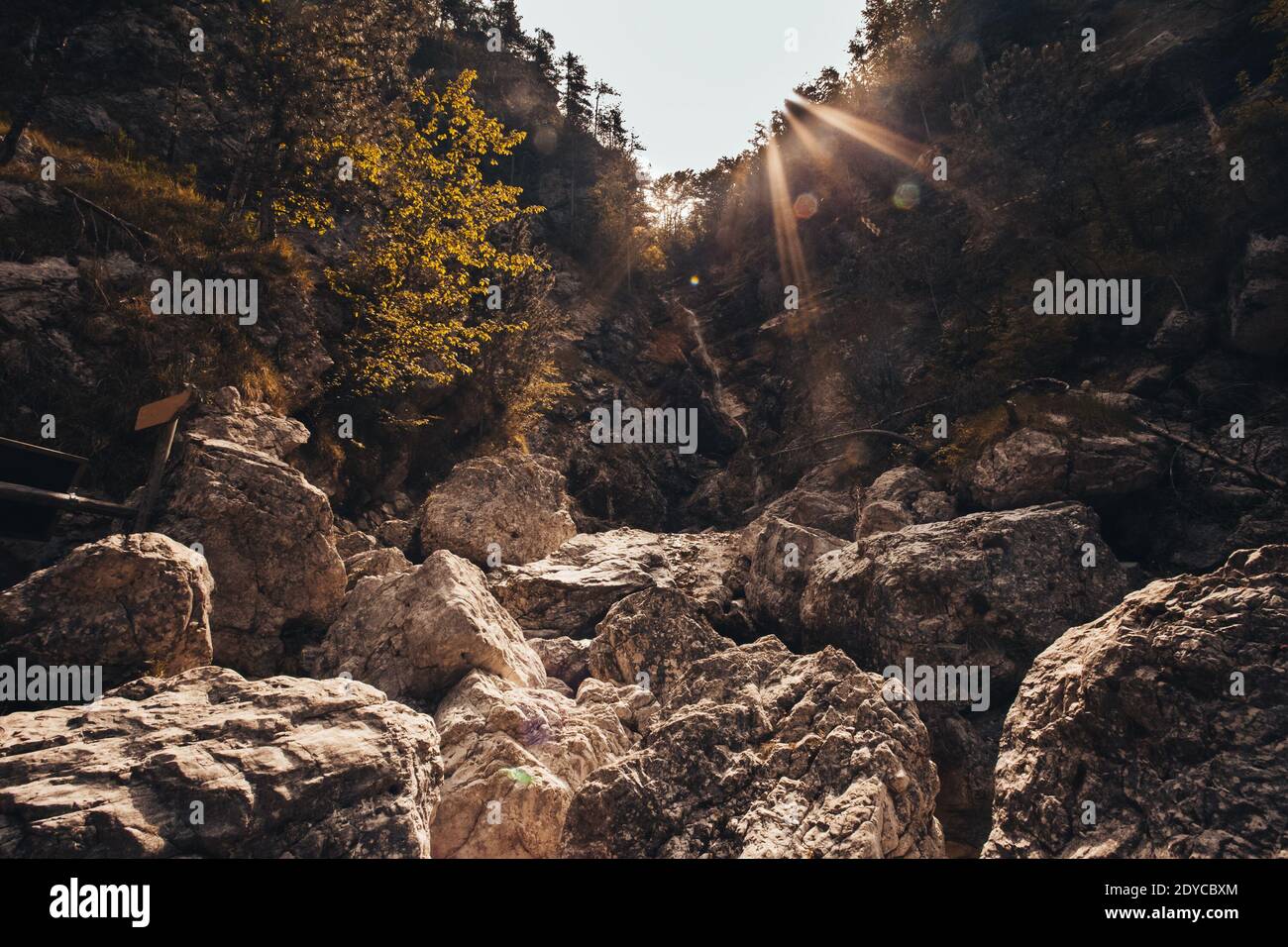 Cascade descendant dans une gorge rocheuse remplie de gros rochers, Monte Resettum, Friuli, Italie. Prise de vue à la lumière Banque D'Images